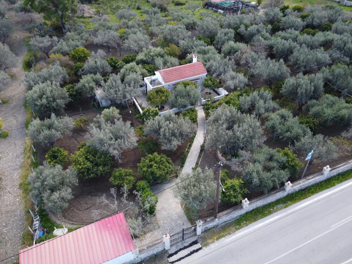 Villa Kavalino Kolymbia Eksteriør billede