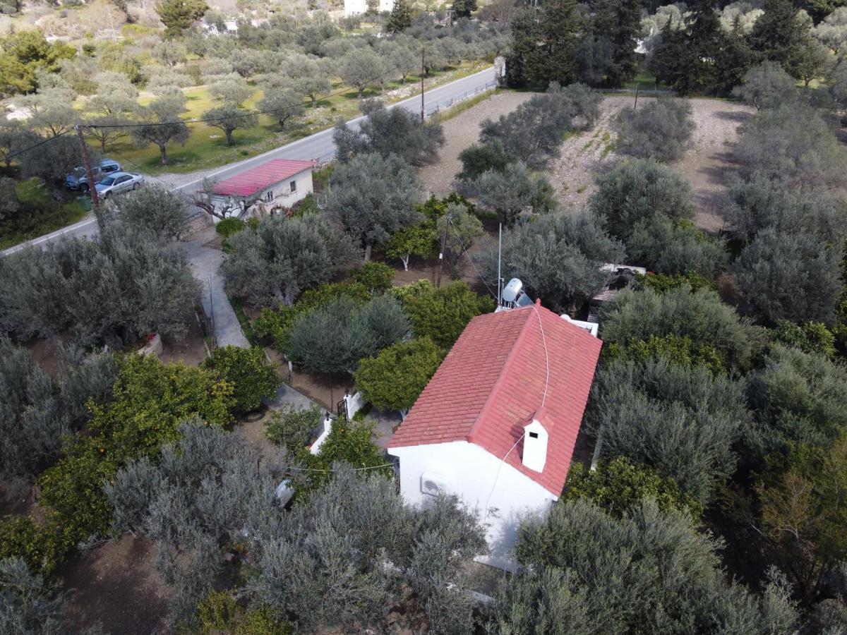 Villa Kavalino Kolymbia Eksteriør billede
