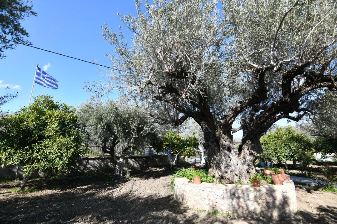 Villa Kavalino Kolymbia Eksteriør billede