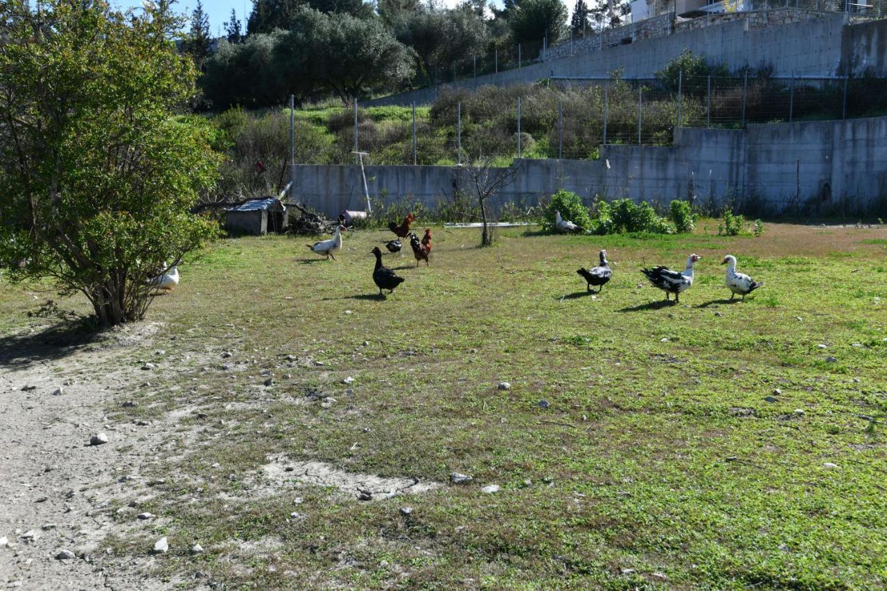Villa Kavalino Kolymbia Eksteriør billede